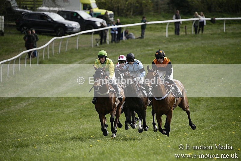 PtP 170417 282 - Old Berks Point-to-Point Lockinge 17/04/17