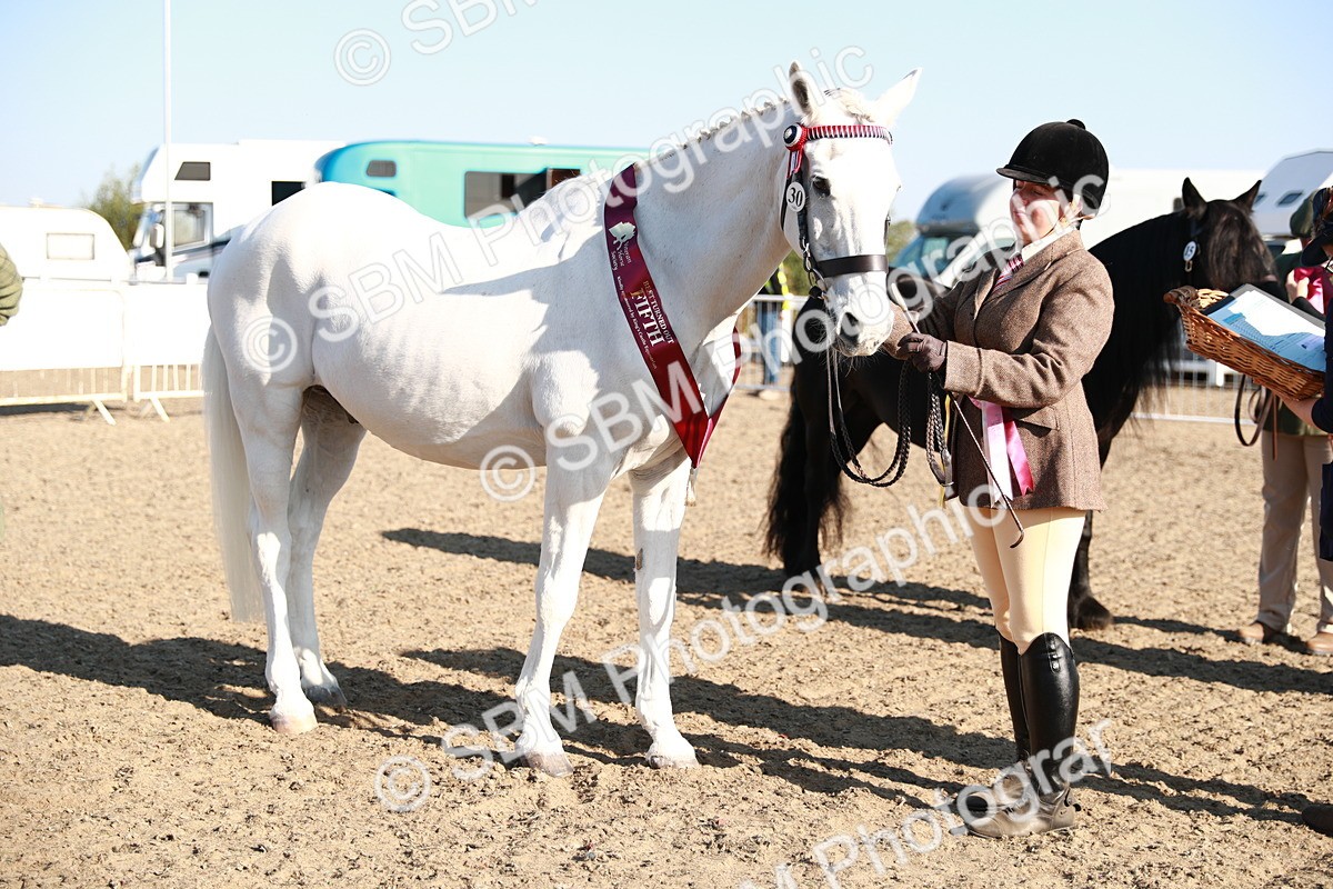 SBM_00131 - Class 40 Best Turned Out IH