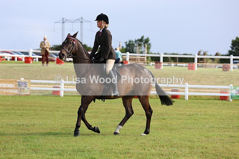3E7A8269 - Class 2: Rising Star Large Hack/Riding Horse