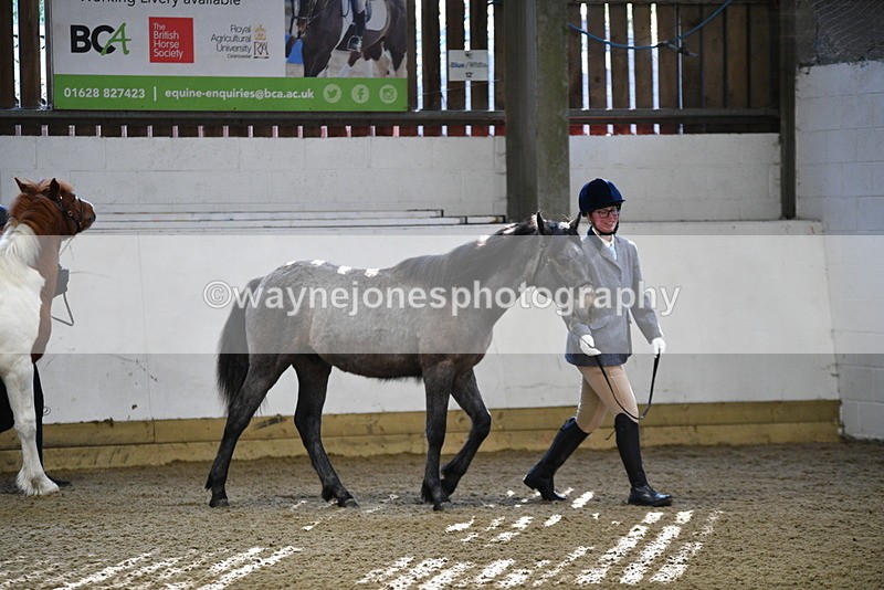 WJ5_3347 - Class 1 Youngstock