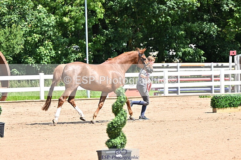 240718A-105241-01033 - Trot Up 11am to 12pm