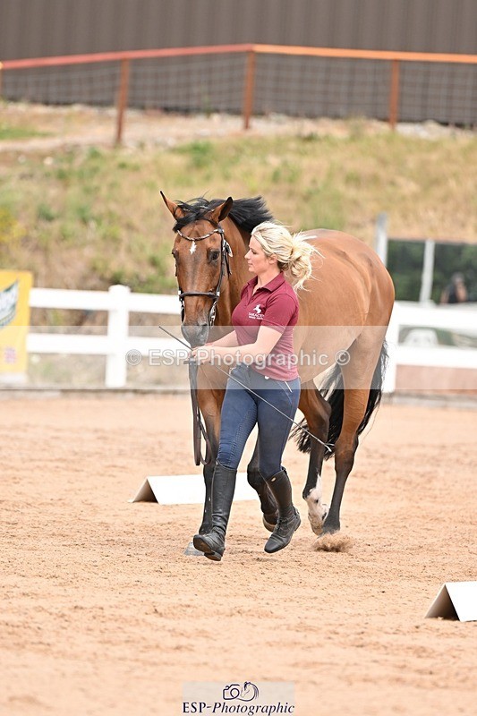 250716-153722-02055 - Trot Up 3.30 to 4.30