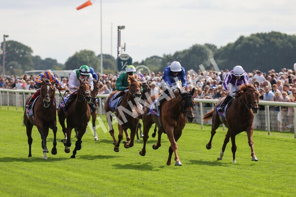 yr18082021r3-58 - Race 3 3.00pm Sky Bet Great Voltigeur Stakes