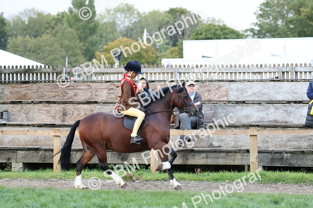 SBM_53423 - Super Supreme Championship (Sat)