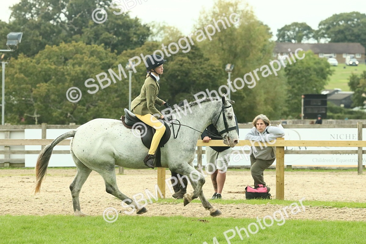 SBM_74067 - S 61 - Show Pony & Show Hunter Pony Ridden