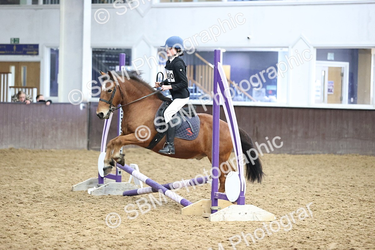 SBM_000153 - Class 2 - The Rug Lady 40cm Area 12 Championship Qualifier