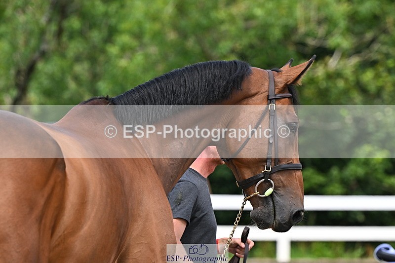 240718A-105312-01693 - Trot Up 1pm to 2pm