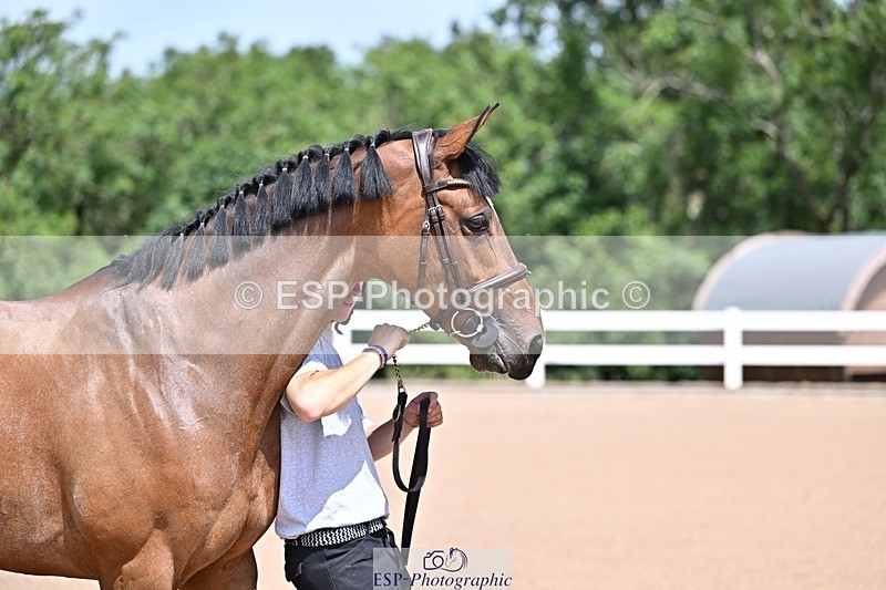 250716-122718-00004 - Trot Up 12.30 to 1.30