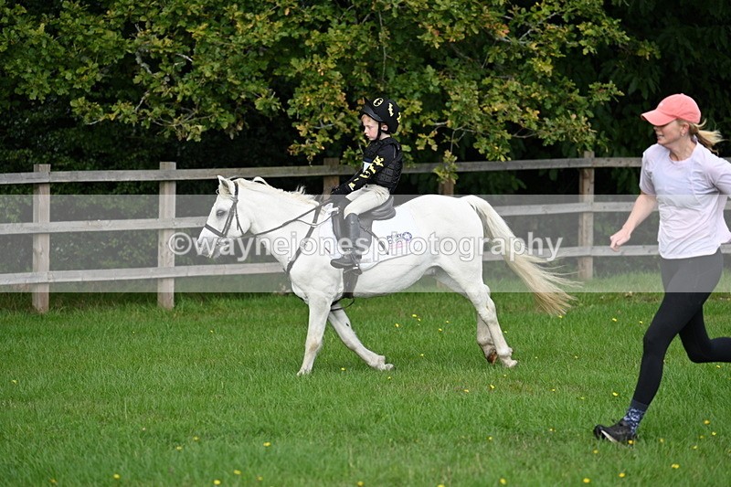 WJ7_3856 - 40cm Time 10:26 to 10:42