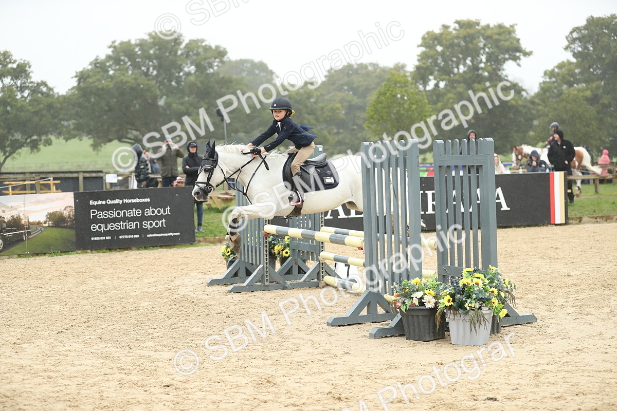SBM_74000 - J16 - Junior Pony 75cm Championship