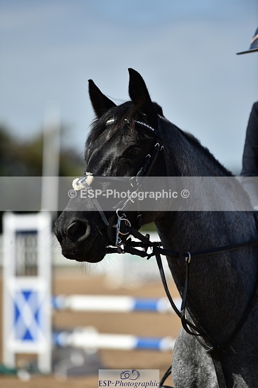 230903A-113444-04209 - Cls 18 Pony Brit Novice & 80cm Open