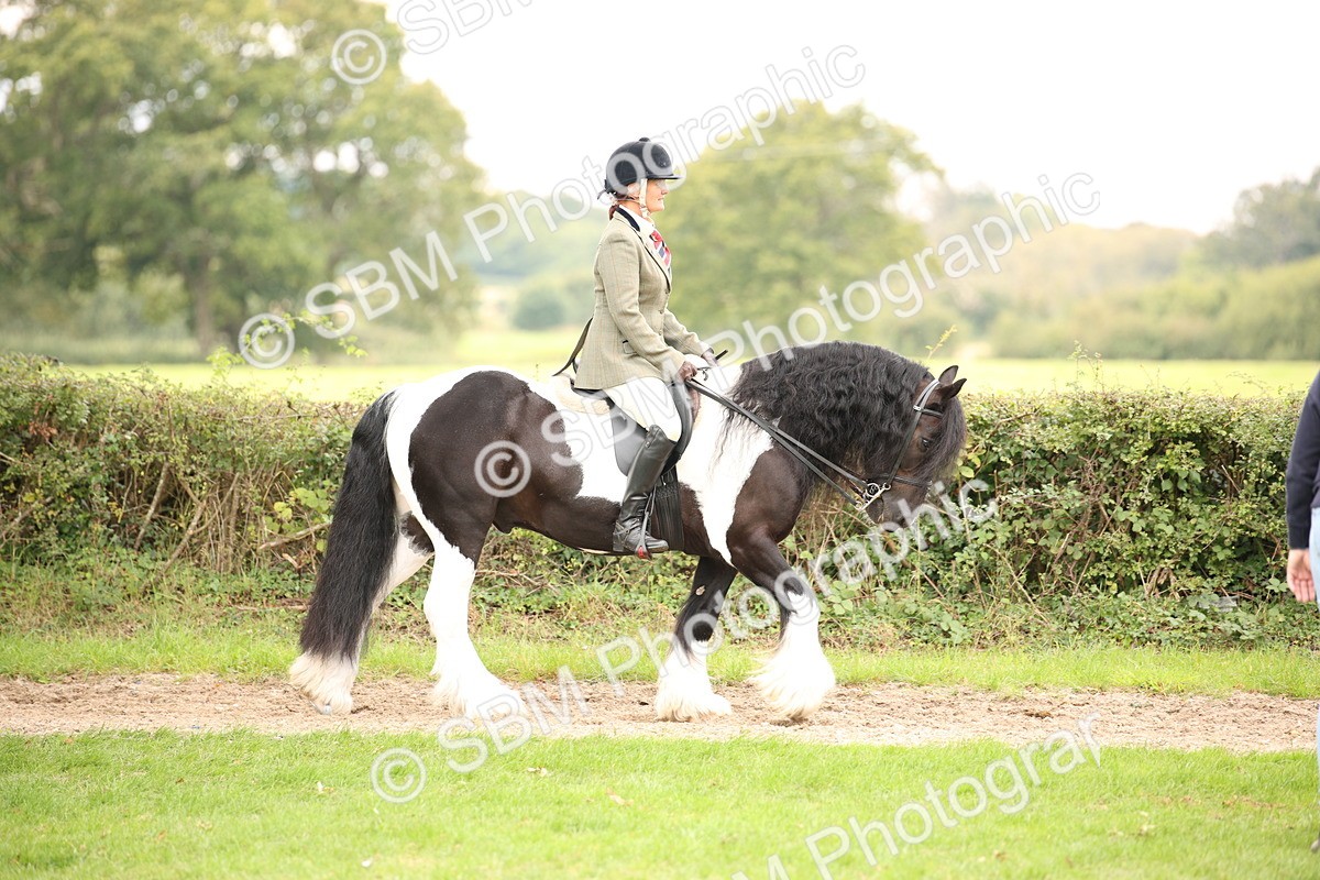 SBM_73407 - S68 - Traditional Cob Ridden