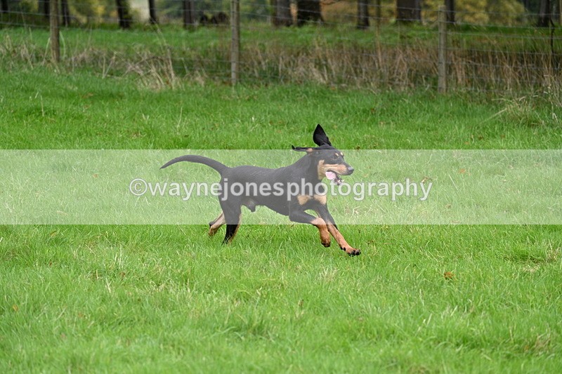 WJ7_4382 - Camera 1 Line 3