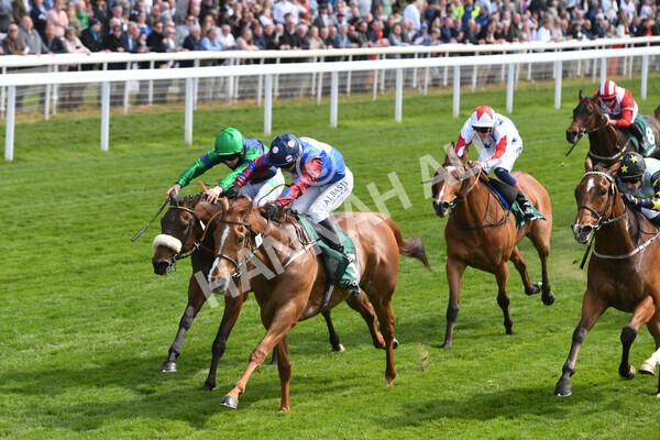 yr12052022r3-15 - Race 3 3.00pm The Paddy Power Hambleton Stakes