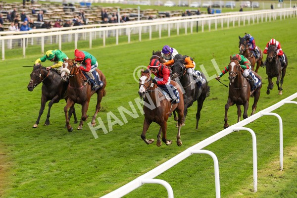 131023-Race 4-Hafeet Alain-9815 - Race 4 3.50pm William Hill Autumn Mile Handicap