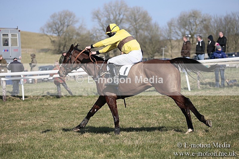 PtP 240218 178 - Vine & Craven Hunt Point-to-Point Barbury racecourse 24/02/18
