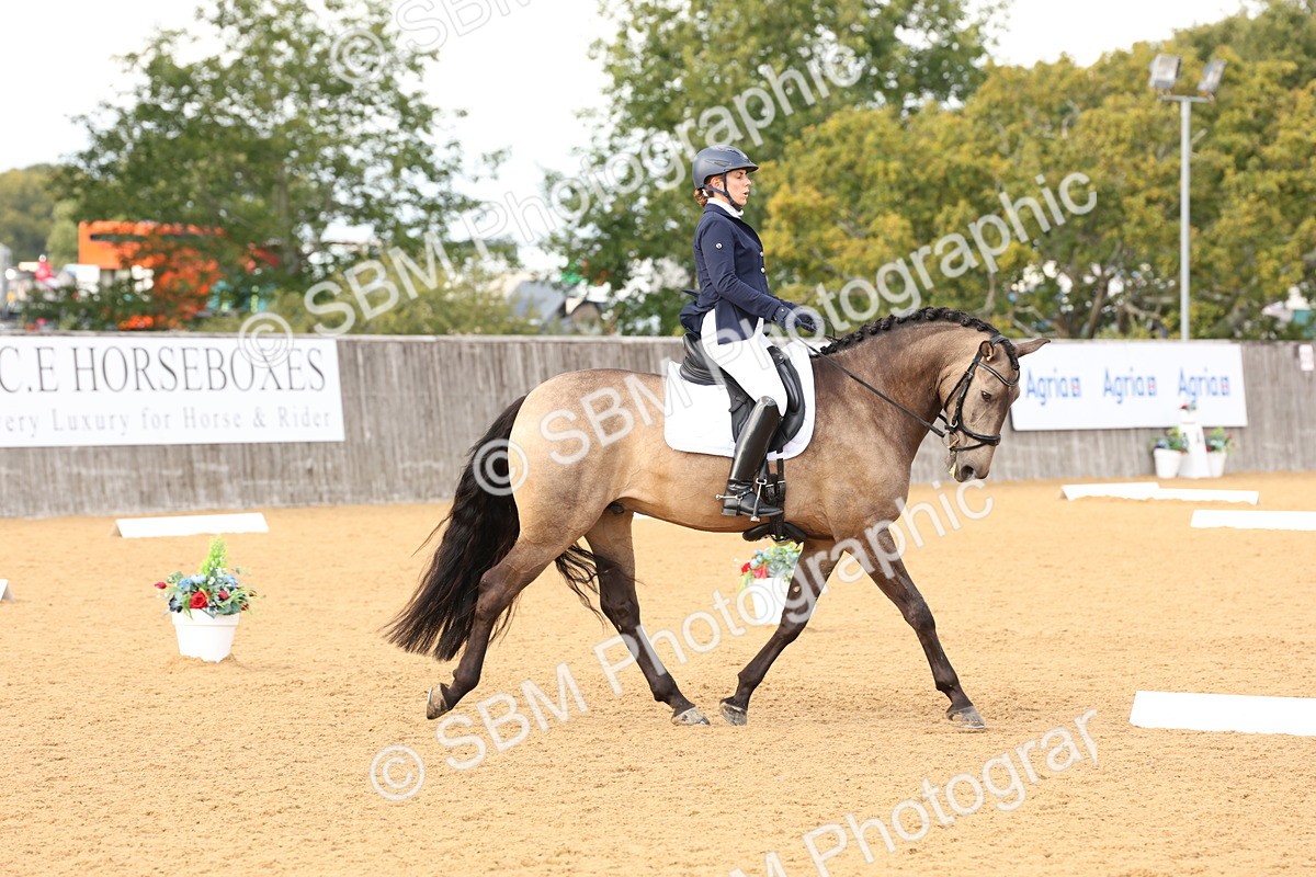 SBM_26919 - D17 - Grand Tour Championship Novice 3