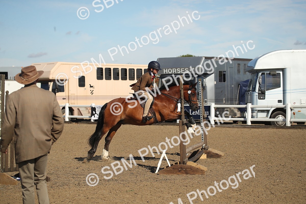 SBM_12728 - Class 504b - Junior Working Veteran - 40cm (20+)