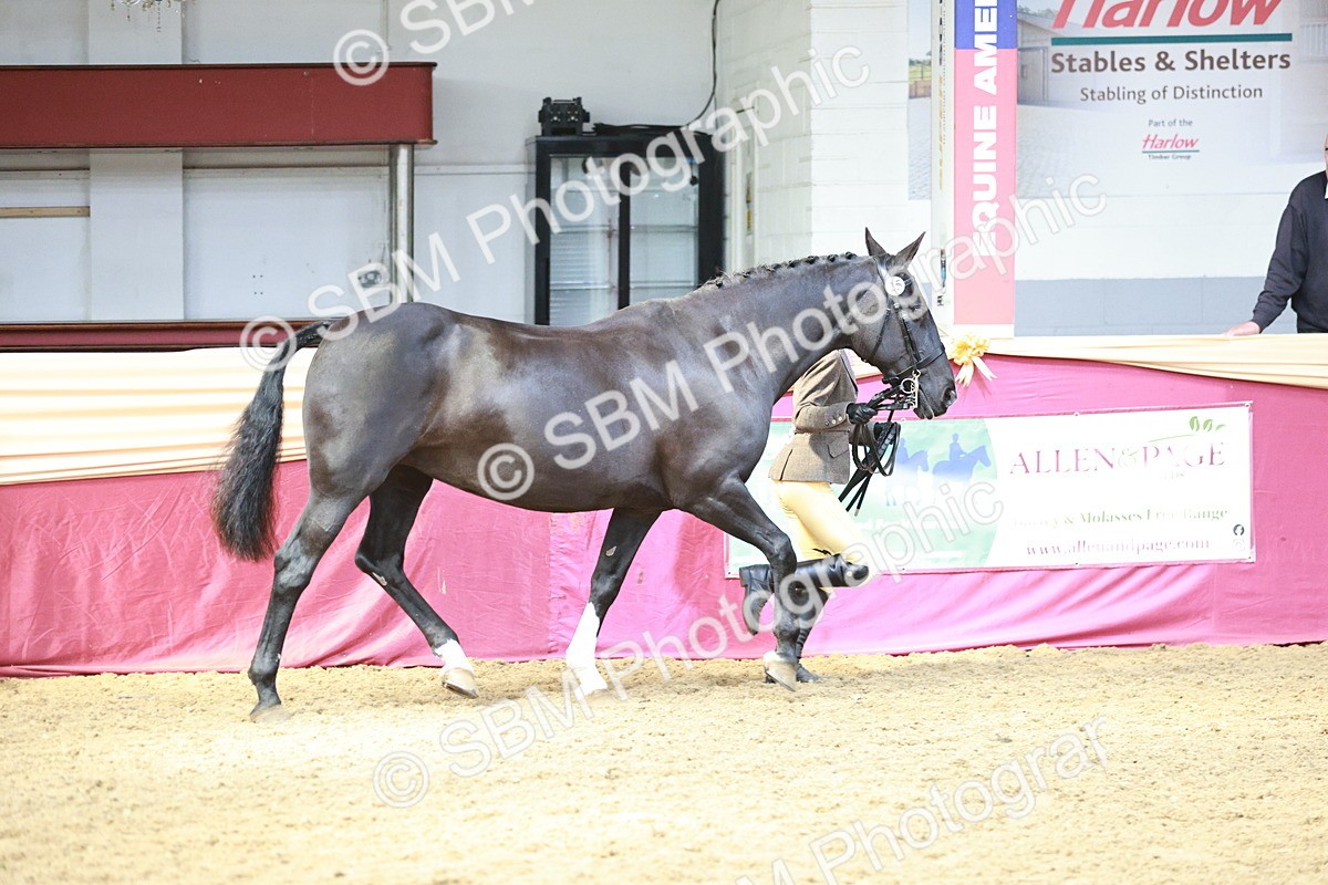 SBM_04754 - Class 7R - Regional IH Diamond