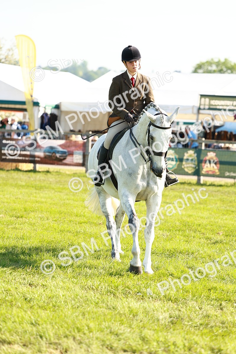 SBM_10908 - Class 66-69 - RIHS Ridden Hunters Inc Small Hunter