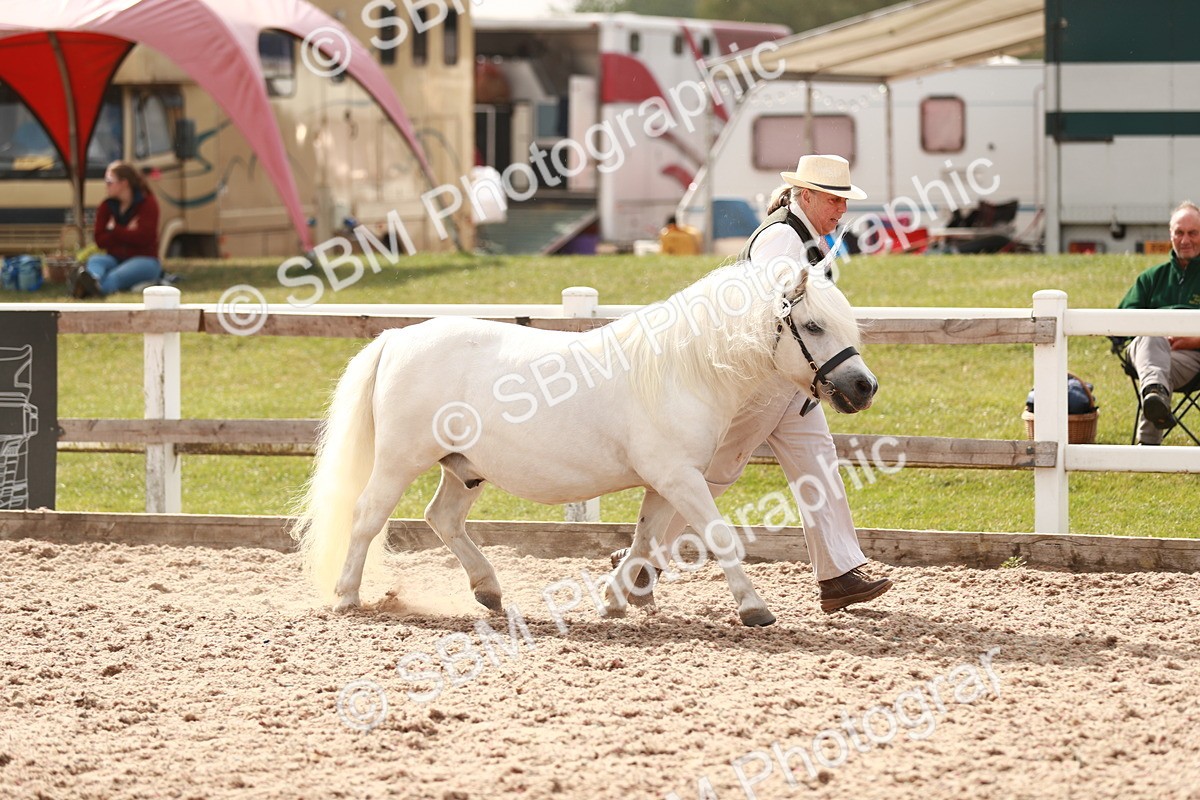 SBM_12420 - Class 207 IH M&M