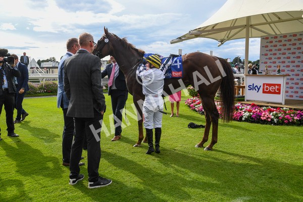 260823-Race 5-Albasheer-1202 - Race 5 Sky Bet Constantine Handicap