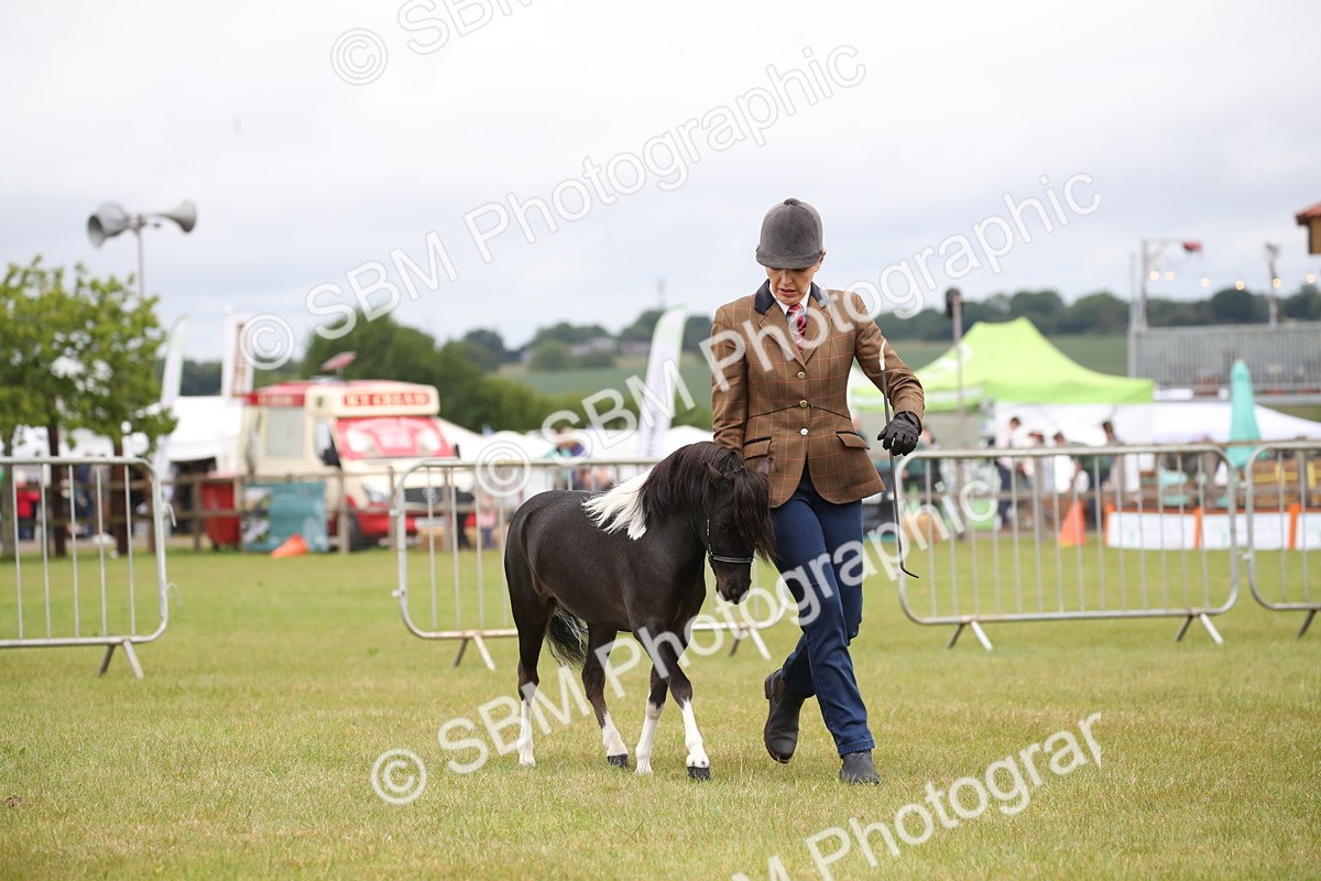 SBM_03770 - Class 23-25 - British Miniature Horse of the Year