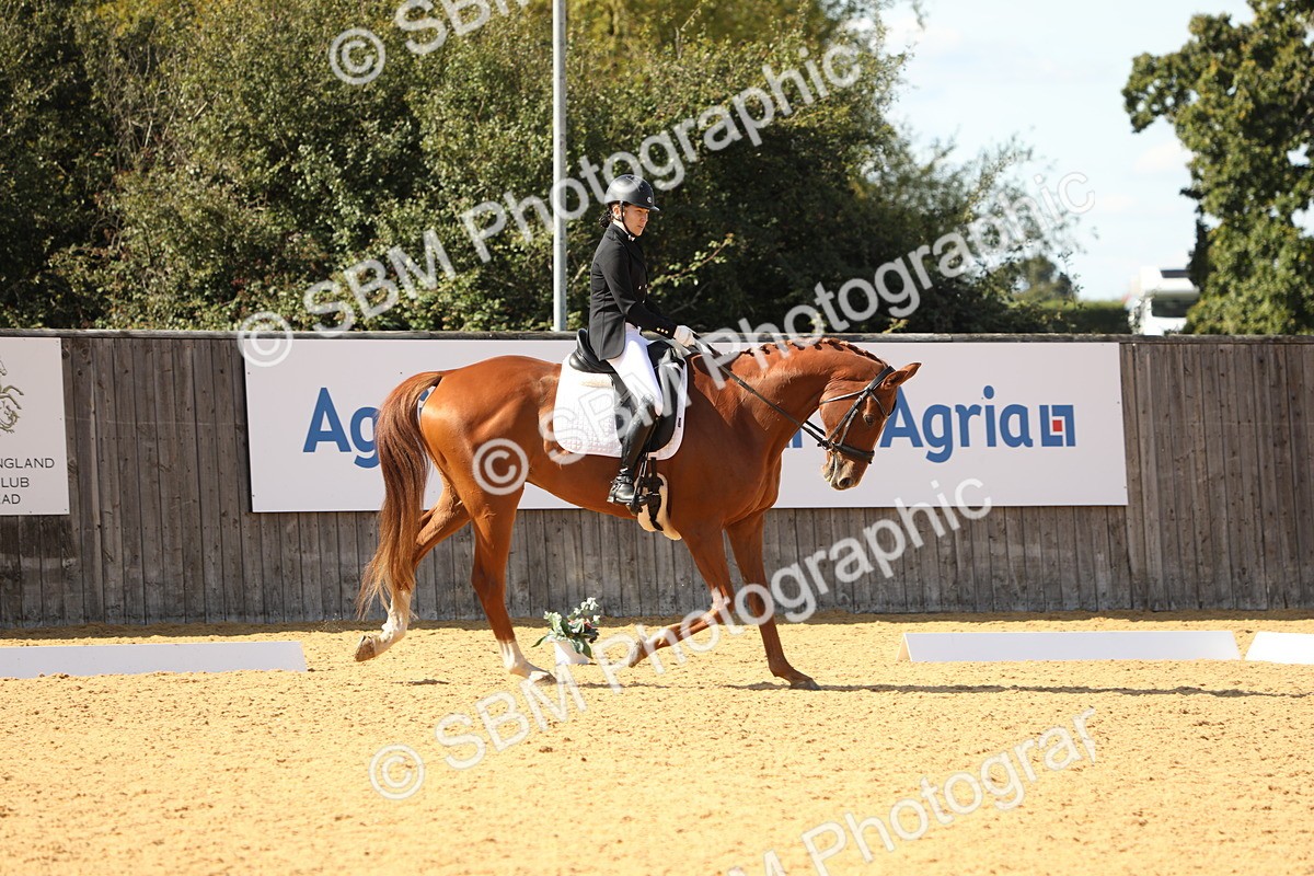 SBM_24609 - D17 - Grand Tour Championship - Novice 27