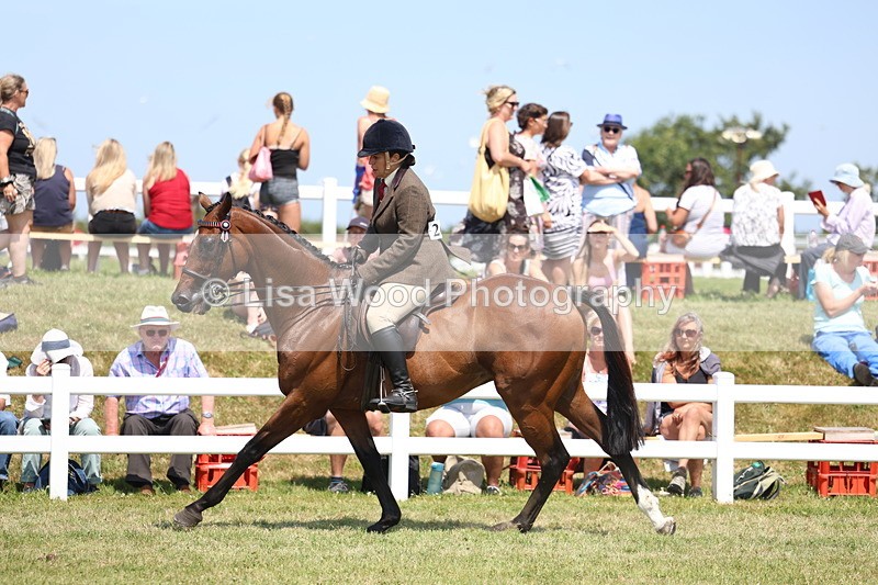 3E7A9353 - Class 12: Open Racehorse to Show Horse