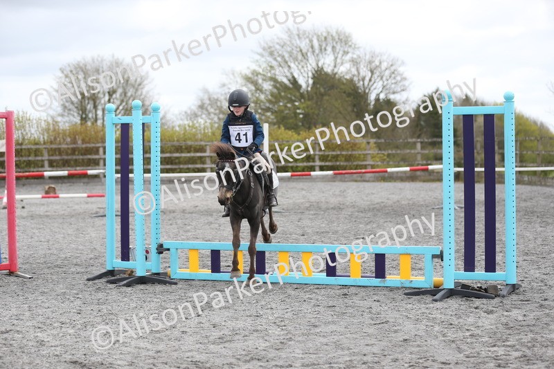 20260412-0579 - Show Jumping