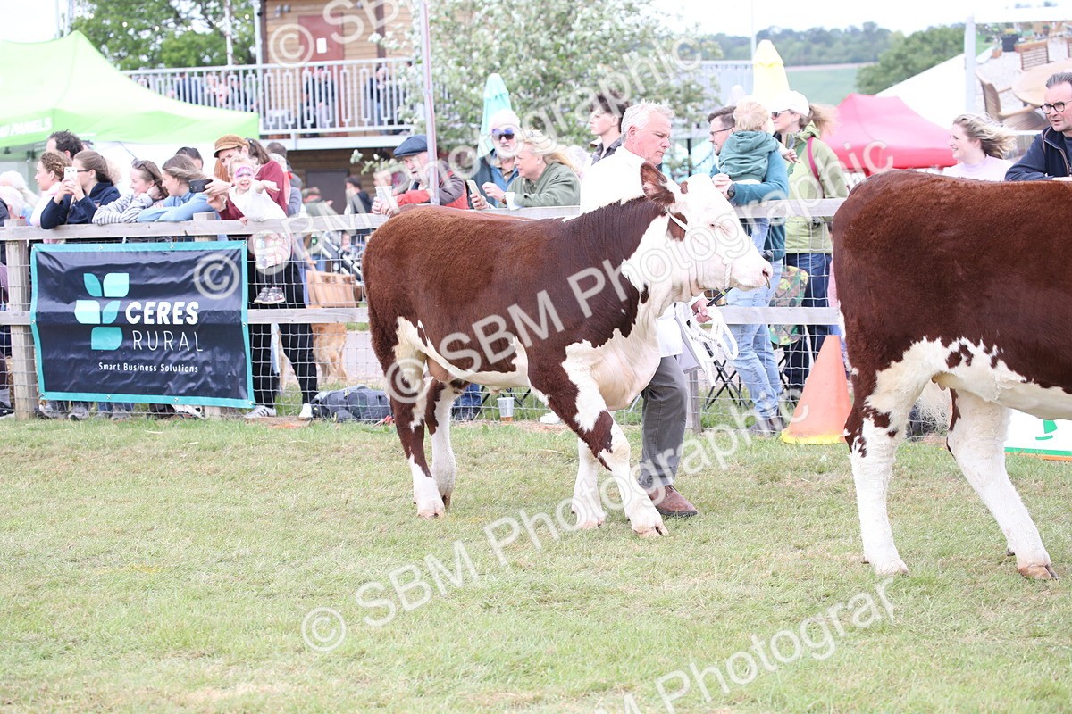 SBM_07837 - Grand Parade