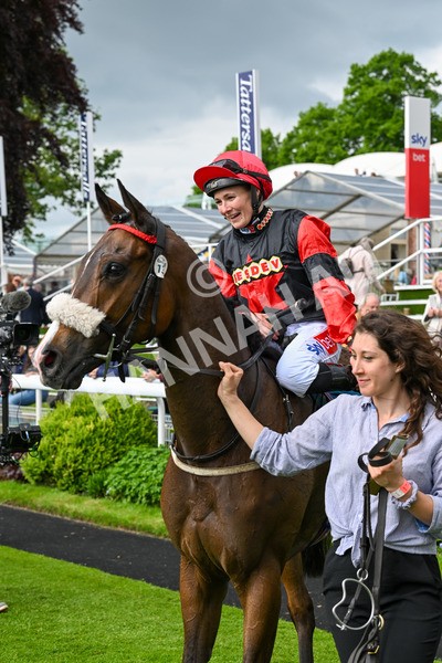 150524-Race 5-Diligent Resdev-4496 - Race 5 4.15pm Conundrum HR Consulting Handicap