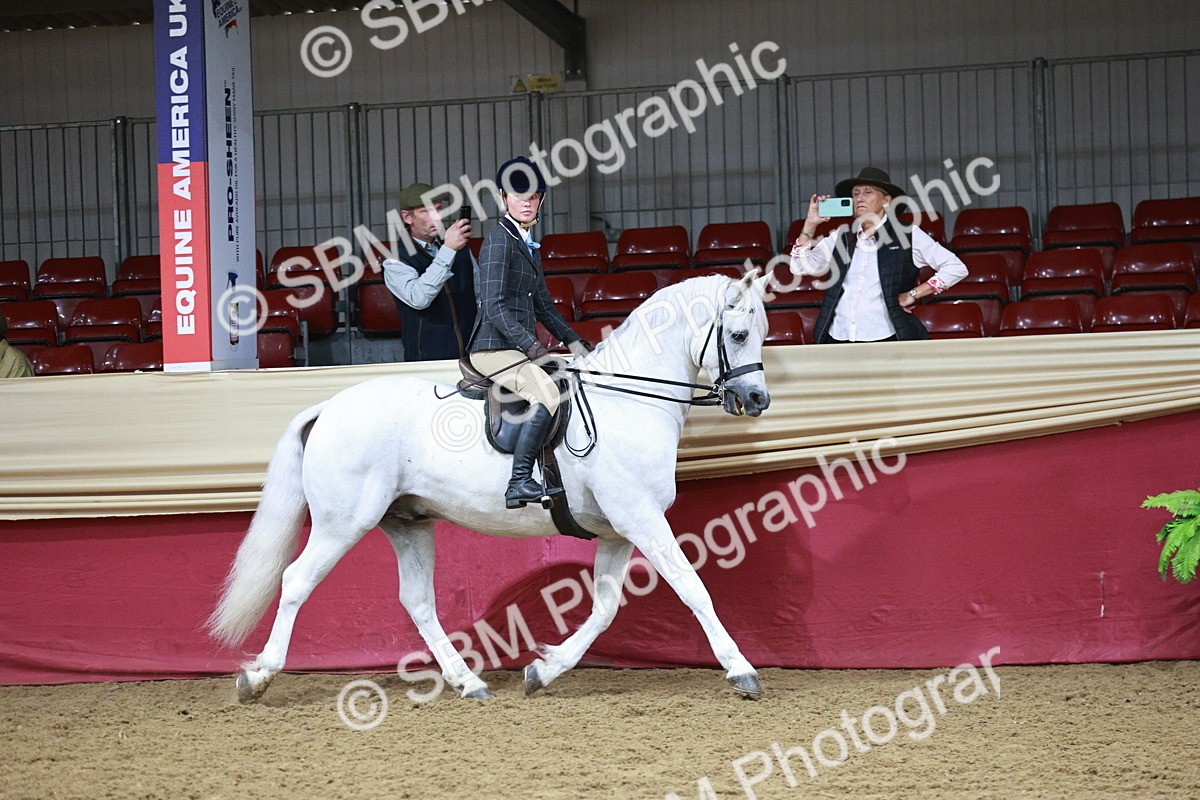SBM_03333 - Class 6A Area Ridden Pre-Vet