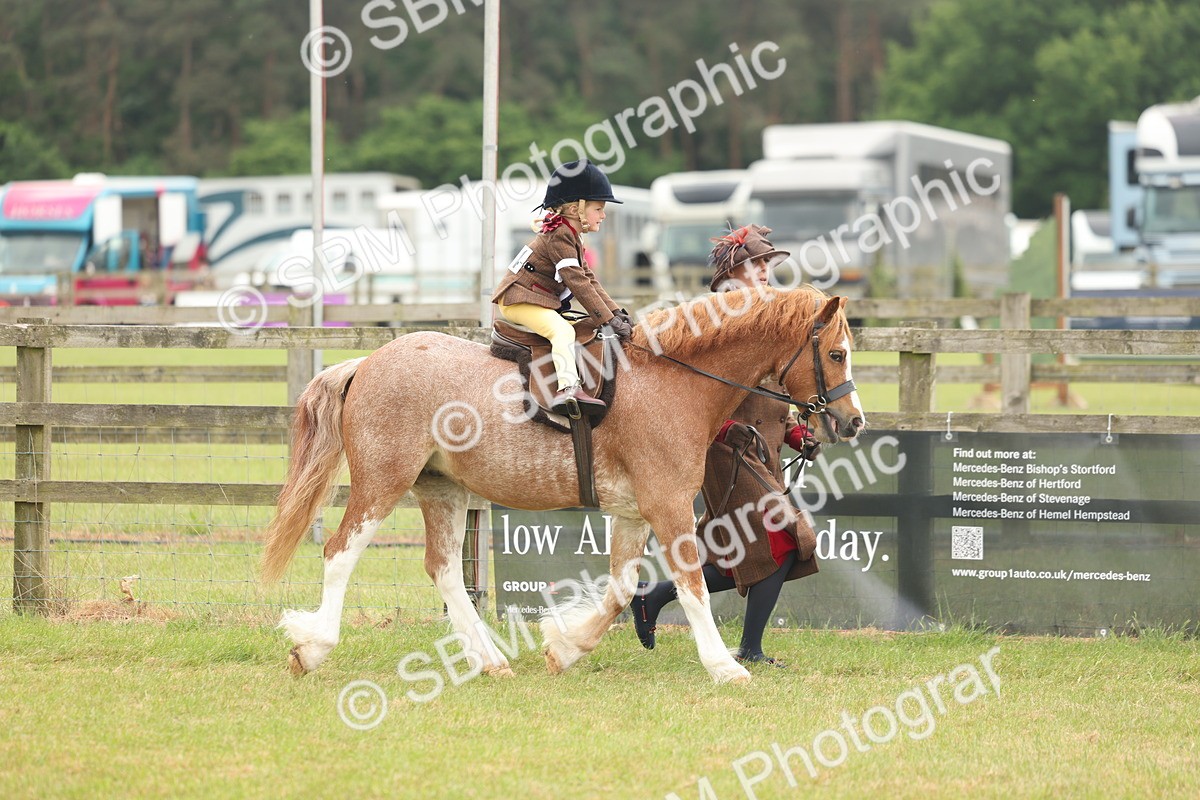 SBM_06849 - Class 74-75 - M&M Lead Rein and First Ridden Pony