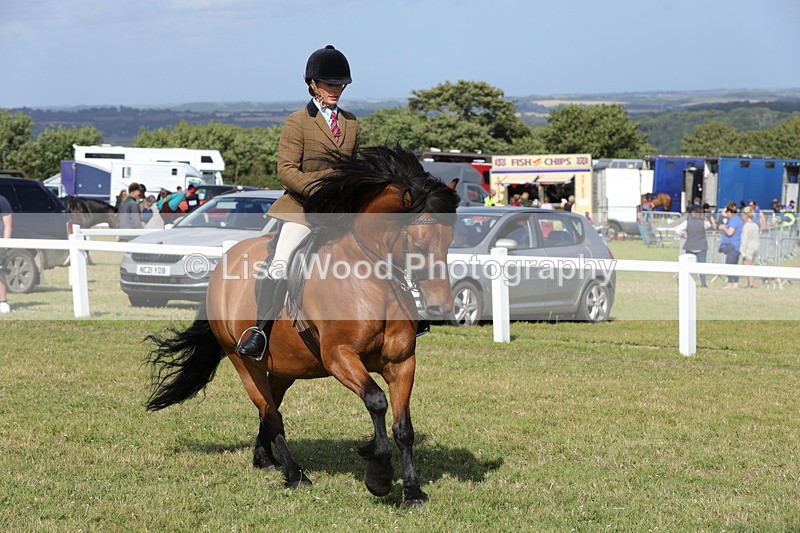 1X9A5976 - Class 42: NPS Dales, Fell, Highland