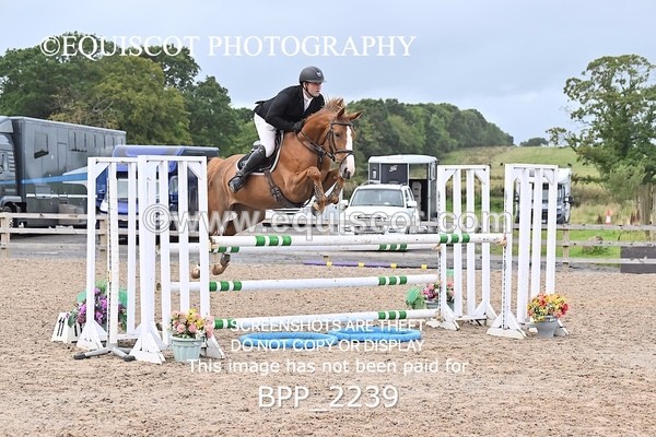 BPP_2239 - CLASS 4  FRI Senior Newcomers/ 1.10m Open