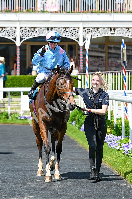 230526-Race 1-Lord Roxby-5840 - Race 1 13.30pm William Hill Keep Your Raceday Positive Handicap
