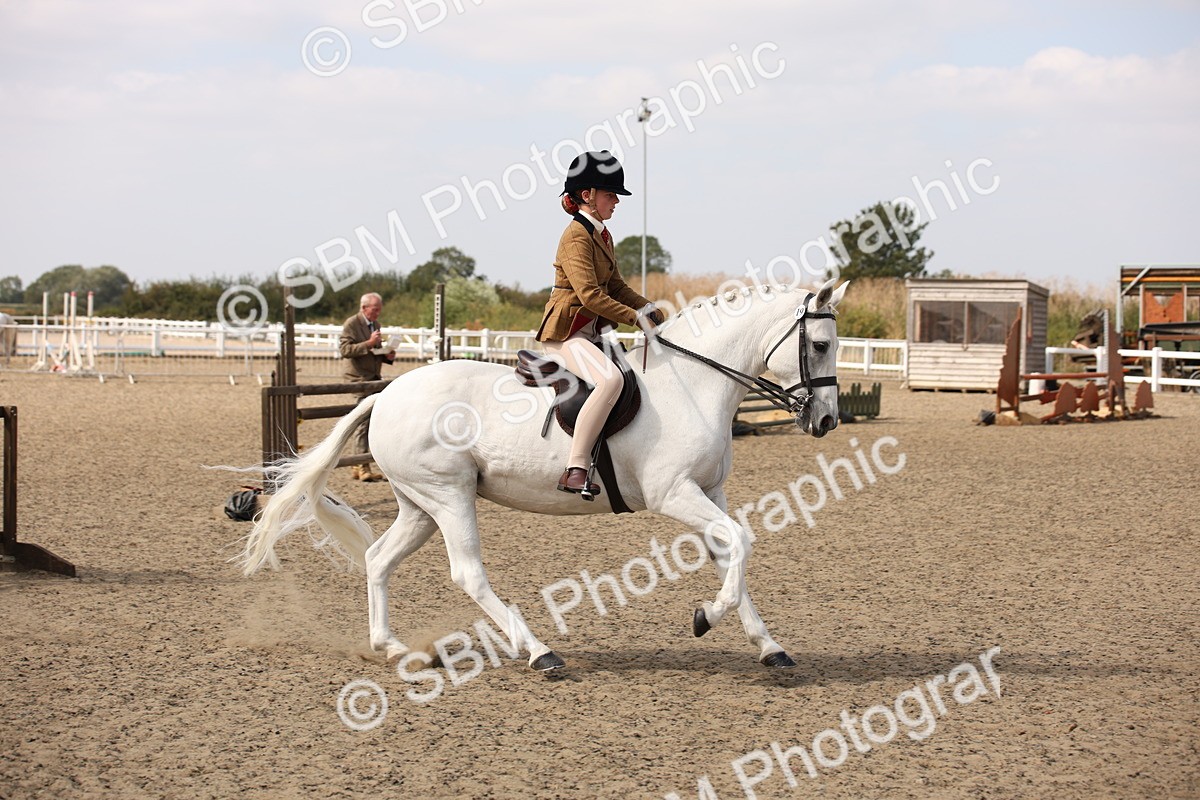 SBM_15043 - Class 408a - Working Veteran 70cm (15-19