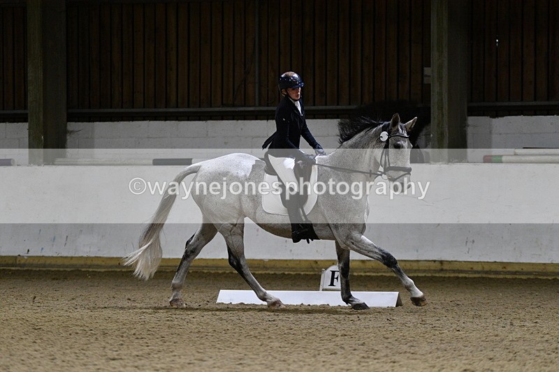 WJ5_8899 - Class 5 Novice Test 3