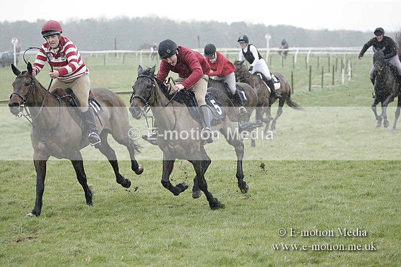 PtP 150320 0018 - New Forest Point-to-Point Larkhill 15/03/20