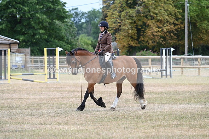 WJ7_0313 - Class 6 Ridden Mountain and Moorland