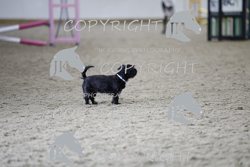 _T0A1801 - Class 4 50cm