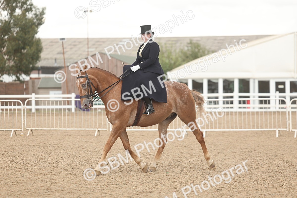 SBM_06326 - Class 23 - SSA - Classical