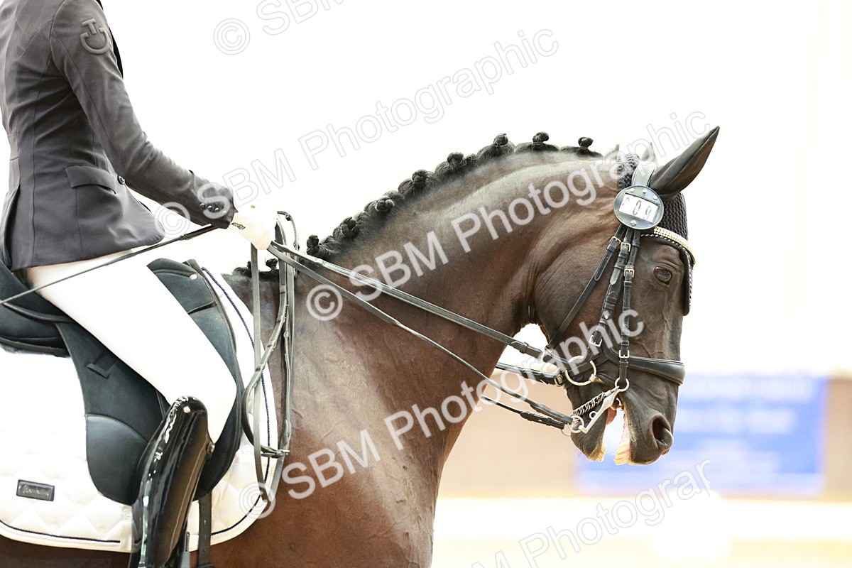 SBM_017739 - Class 15 - FEI Junior