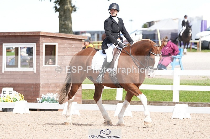 250906-141932-03923 - 069-Kirsty.ClackworthyStitch