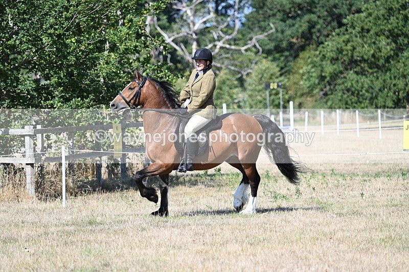 WJ7_3751 - Class 9 Mountain & Moorland Ridden