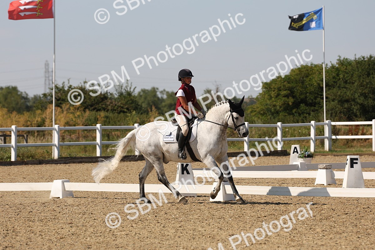 SBM_006333 - Prelim 4 - 15.56-17.51