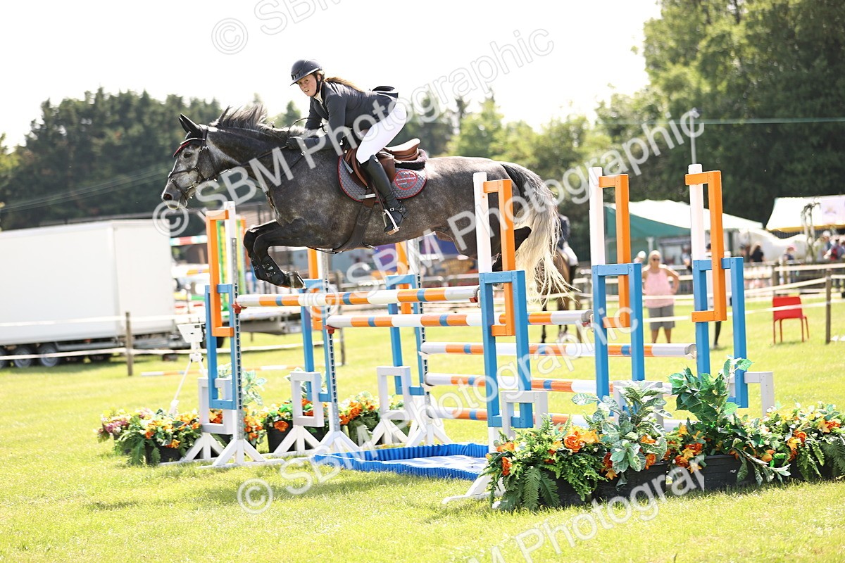 SBM_03238 - Class 201 - British Horse Feedds Speedi Beet HOYS Grade C