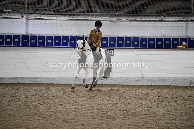 WJ5_7313 - Class 11 Ridden PC - RC Pony