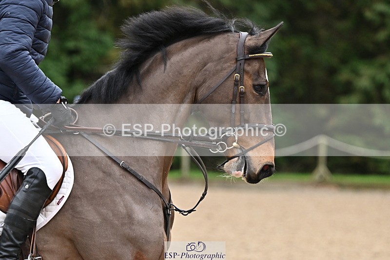 250201A-114721-00504 - Cls 02 Local Horse 100cm